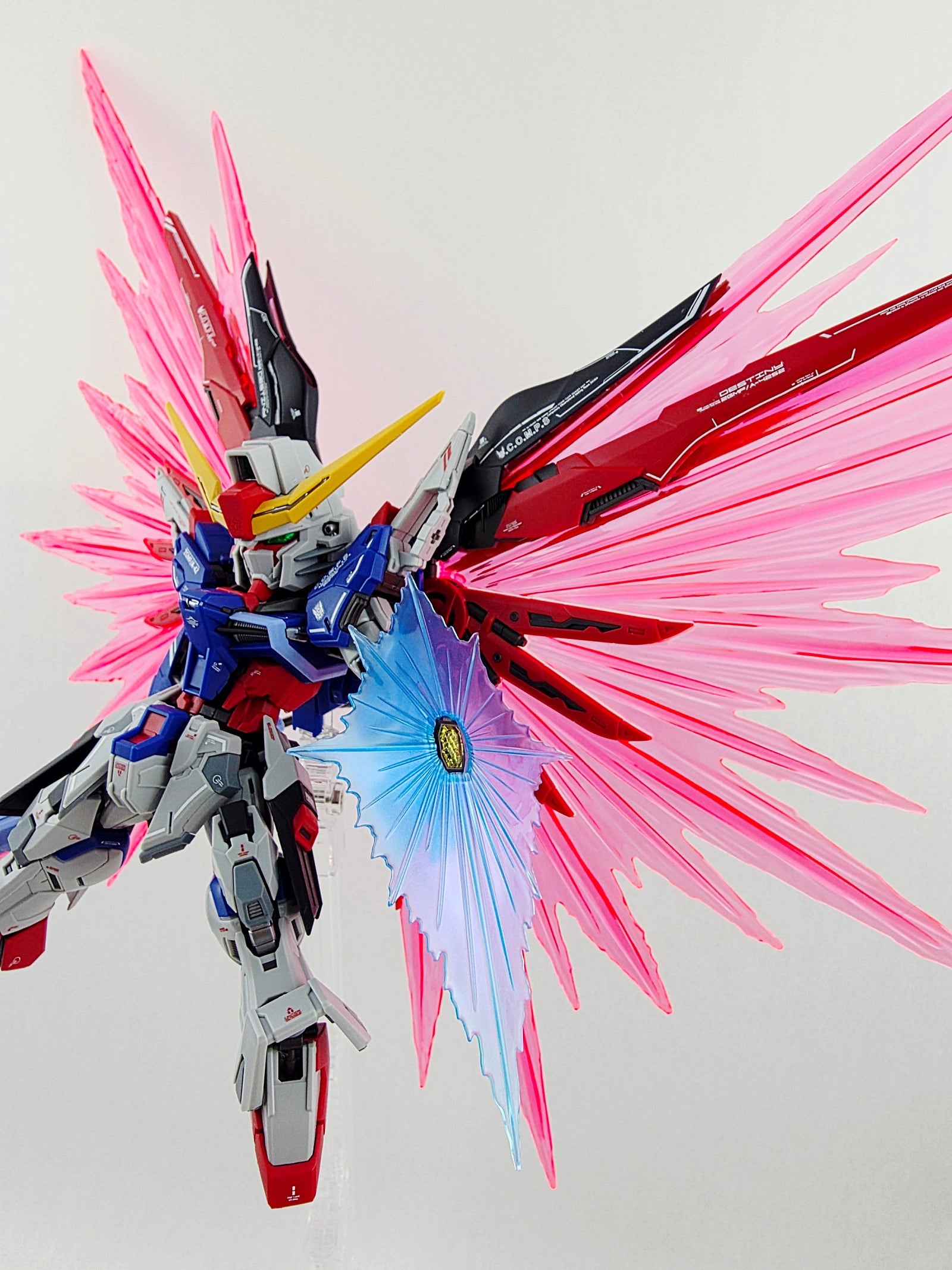 Delpi Decal - MGSD Destiny Gundam Ver.Delpi